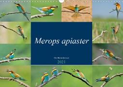 Merops apiaster - der Bienenfresser (Wandkalender 2021 DIN A3 quer)