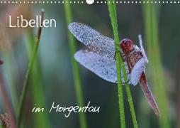 Libellen im Morgentau (Wandkalender 2021 DIN A3 quer)