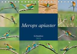 Merops apiaster - der Bienenfresser (Tischkalender 2021 DIN A5 quer)