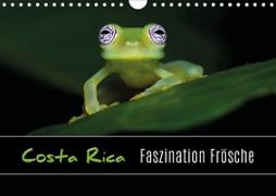 Costa Rica - Faszination Frösche (Wandkalender 2021 DIN A4 quer)