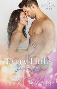 Every Little Promise: An Orchid Valley Prequel