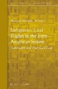 Indigenous Land Rights in the Inter-American System: Substantive and Procedural Law