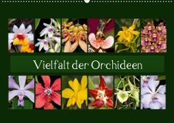 Vielfalt der Orchideen (Wandkalender 2021 DIN A2 quer)
