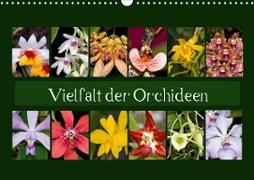 Vielfalt der Orchideen (Wandkalender 2021 DIN A3 quer)