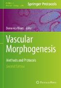 Vascular Morphogenesis