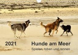 Hunde am Meer - Spielen, toben und rennen (Wandkalender 2021 DIN A4 quer)