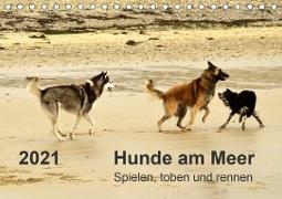 Hunde am Meer - Spielen, toben und rennen (Tischkalender 2021 DIN A5 quer)