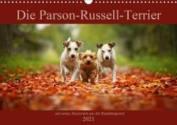 Die Parson-Russell-Terrier ...mit neuen Abenteuern aus der Hundeknipserei (Wandkalender 2021 DIN A3 quer)