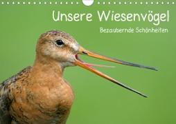 Unsere Wiesenvögel - Bezaubernde Schönheiten (Wandkalender 2021 DIN A4 quer)