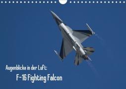 Augenblicke in der Luft: F-16 Fighting Falcon (Wandkalender 2021 DIN A4 quer)