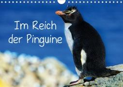 Im Reich der Pinguine (Wandkalender 2021 DIN A4 quer)