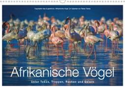 Afrikanische Vögel (Wandkalender 2021 DIN A3 quer)
