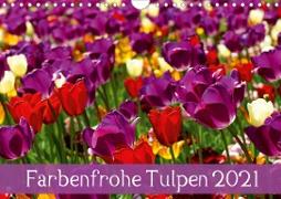 Farbenfrohe Tulpen 2021 (Wandkalender 2021 DIN A4 quer)