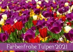 Farbenfrohe Tulpen 2021 (Wandkalender 2021 DIN A3 quer)