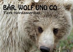 Bär, Wolf und Co - Tiere Nordamerikas (Wandkalender 2021 DIN A4 quer)