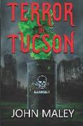 Terror in Tucson