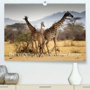 Serengeti - auf den Spuren eines Zoologen (Premium, hochwertiger DIN A2 Wandkalender 2021, Kunstdruck in Hochglanz)