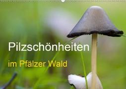 Pilzschönheiten im Pfälzer Wald (Wandkalender 2021 DIN A2 quer)