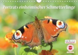 GEOclick Lernkalender: Porträts einheimischer Schmetterlinge (Wandkalender 2021 DIN A4 quer)