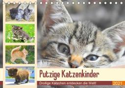 Putzige Katzenkinder. Drollige Kätzchen entdecken die Welt! (Tischkalender 2021 DIN A5 quer)