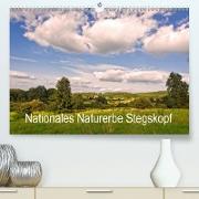 Nationales Naturerbe Stegskopf (Premium, hochwertiger DIN A2 Wandkalender 2021, Kunstdruck in Hochglanz)