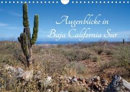 Augenblicke in Baja California Sur (Wandkalender 2021 DIN A4 quer)