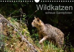 Wildkatzen - scheue Samtpfoten (Wandkalender 2021 DIN A4 quer)