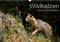 Wildkatzen - scheue Samtpfoten (Wandkalender 2021 DIN A3 quer)