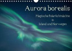 Aurora borealis - Magische Polarlichtnächte in Island und Norwegen (Wandkalender 2021 DIN A4 quer)