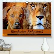 Rhodesian Ridgeback der Hund mit dem Tropfen Löwenblut (Premium, hochwertiger DIN A2 Wandkalender 2021, Kunstdruck in Hochglanz)