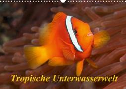 Tropische Unterwasserwelt (Wandkalender 2021 DIN A3 quer)