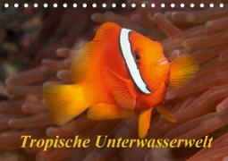 Tropische Unterwasserwelt (Tischkalender 2021 DIN A5 quer)
