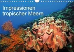 Impressionen tropischer Meere (Wandkalender 2021 DIN A4 quer)