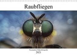 Faszination Makrofotografie: Raubfliegen (Wandkalender 2021 DIN A3 quer)