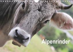 Alpenrinder (Wandkalender 2021 DIN A4 quer)