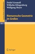 Riemannsche Geometrie im Großen