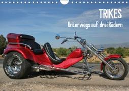 Trikes - Unterwegs auf drei Rädern (Wandkalender 2021 DIN A4 quer)