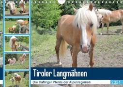 Tiroler LangmähnenAT-Version (Wandkalender 2021 DIN A4 quer)