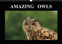 AMAZING OWLS (Wall Calendar 2021 DIN A3 Landscape)