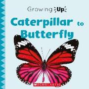 Caterpillar to Butterfly (Growing Up)