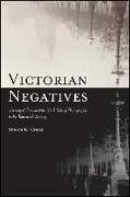 Victorian Negatives: Literary Culture and the Dark Side of Photography in the Nineteenth Century