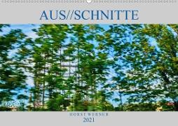 Aus//schnitte (Wandkalender 2021 DIN A2 quer)