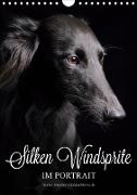 Silken Windsprite im Portrait (Wandkalender 2021 DIN A4 hoch)