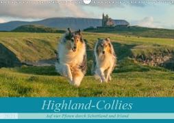 Highland-Collies - Auf vier Pfoten durch Schottland und Irland (Wandkalender 2021 DIN A3 quer)