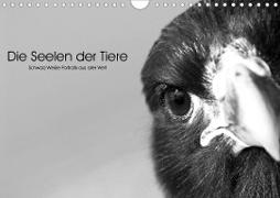 Die Seelen der wilden Tiere (Wandkalender 2021 DIN A4 quer)