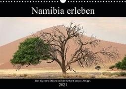 Namibia erleben (Wandkalender 2021 DIN A3 quer)