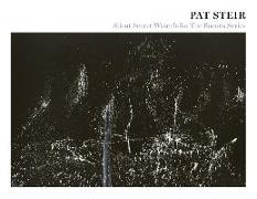 Pat Steir: Silent Secret Waterfalls