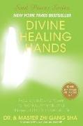 Divine Healing Hands: Experience Divine Power to Heal You, Animals, and Nature, and to Transform All Life
