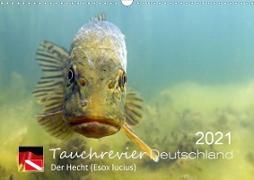 Tauchrevier Deutschland - Der Hecht (Esox lucius) (Wandkalender 2021 DIN A3 quer)
