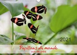 Papillons du monde, vus de près (Calendrier mural 2021 DIN A3 horizontal)